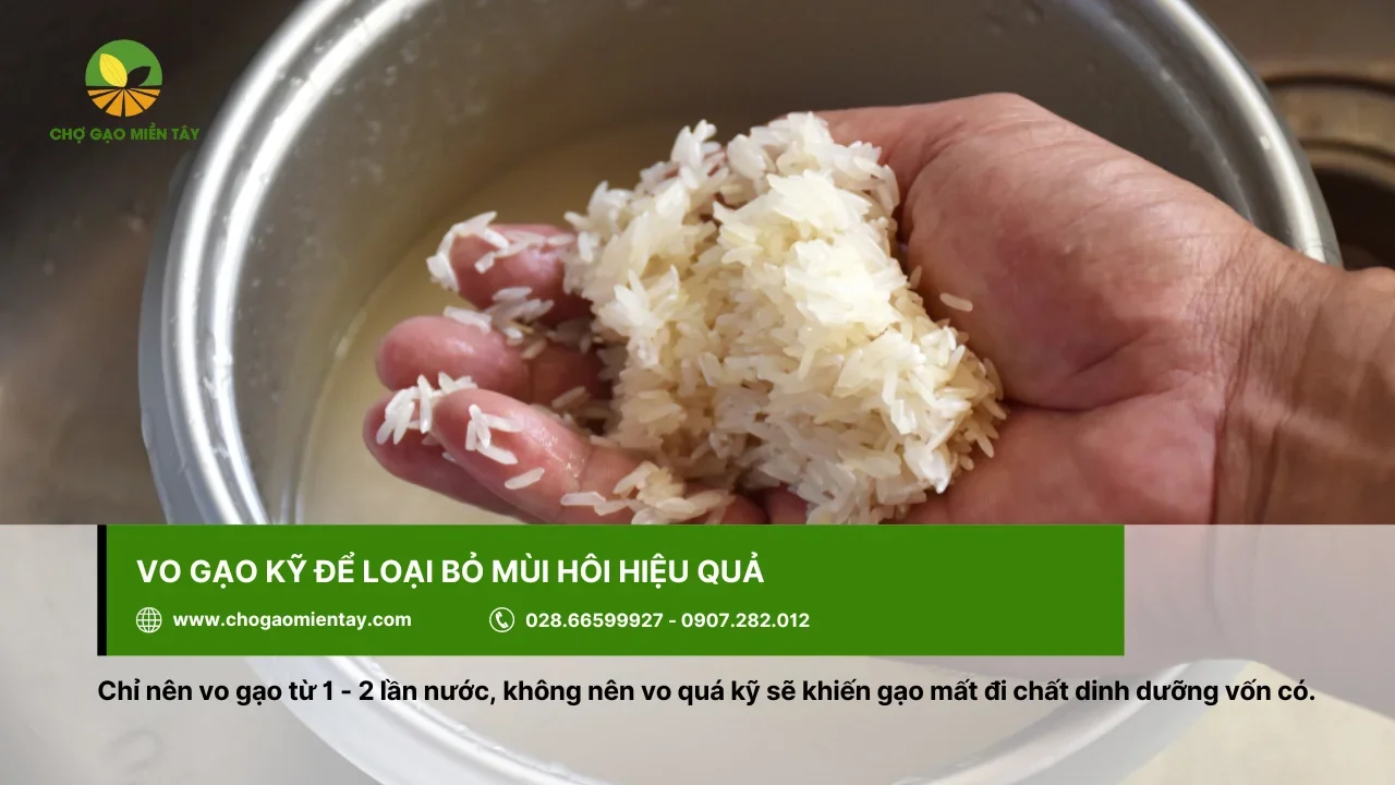 Vo gạo thật kỹ để đảm bảo mùi hôi được loại bỏ