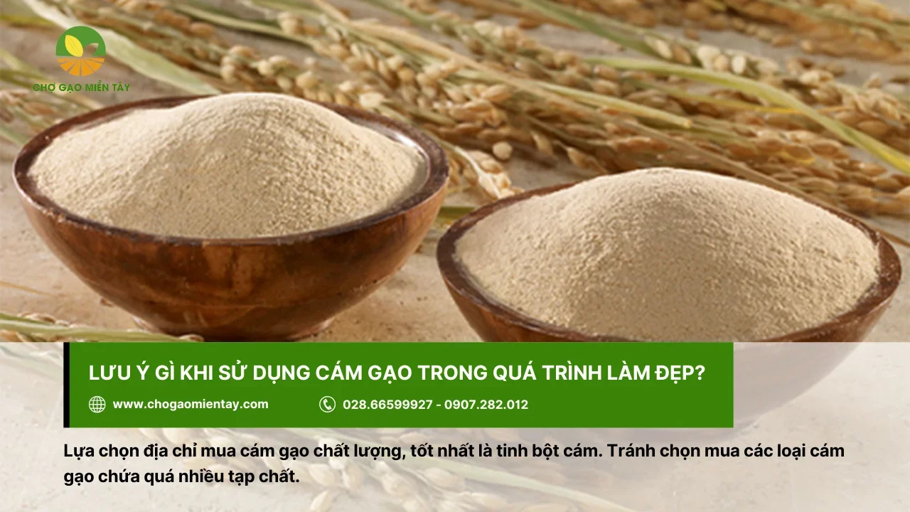 Nên chọn mua cám gạo ở địa chỉ uy tín