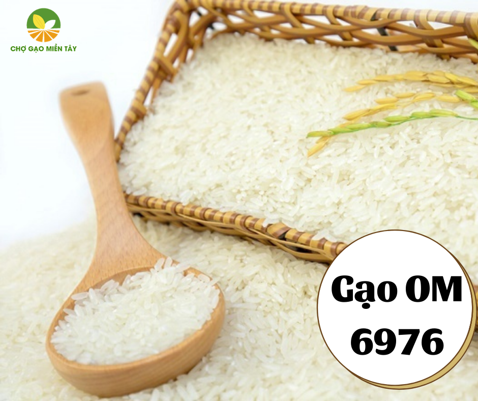 Chợ Gạo Miền Tây cung cấp gạo OM 6976