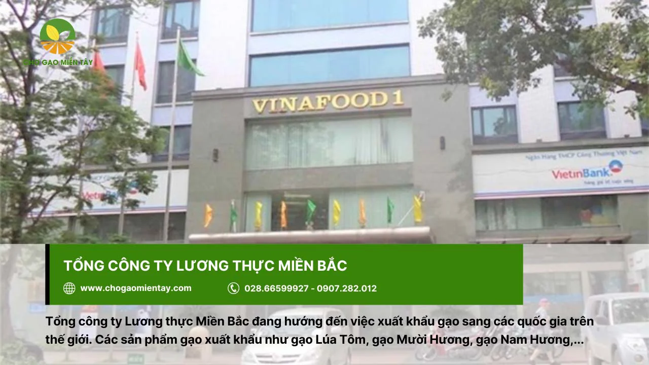 Tổng Công ty Lương thực miền Bắc xuất khẩu nhiều loại gạo khác nhau