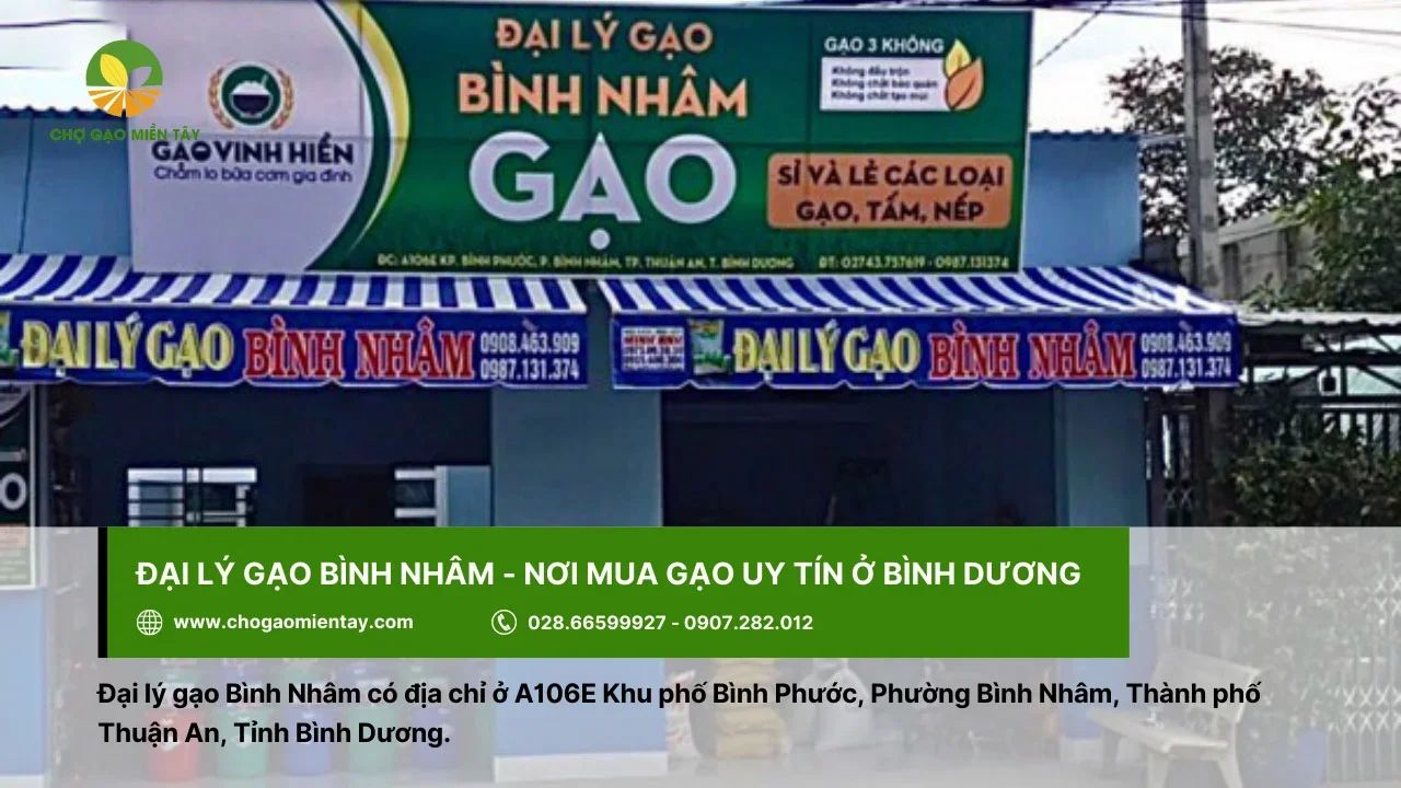 Mua gạo ở Bình Dương không thể bỏ qua đại lý gạo Bình Nhâm
