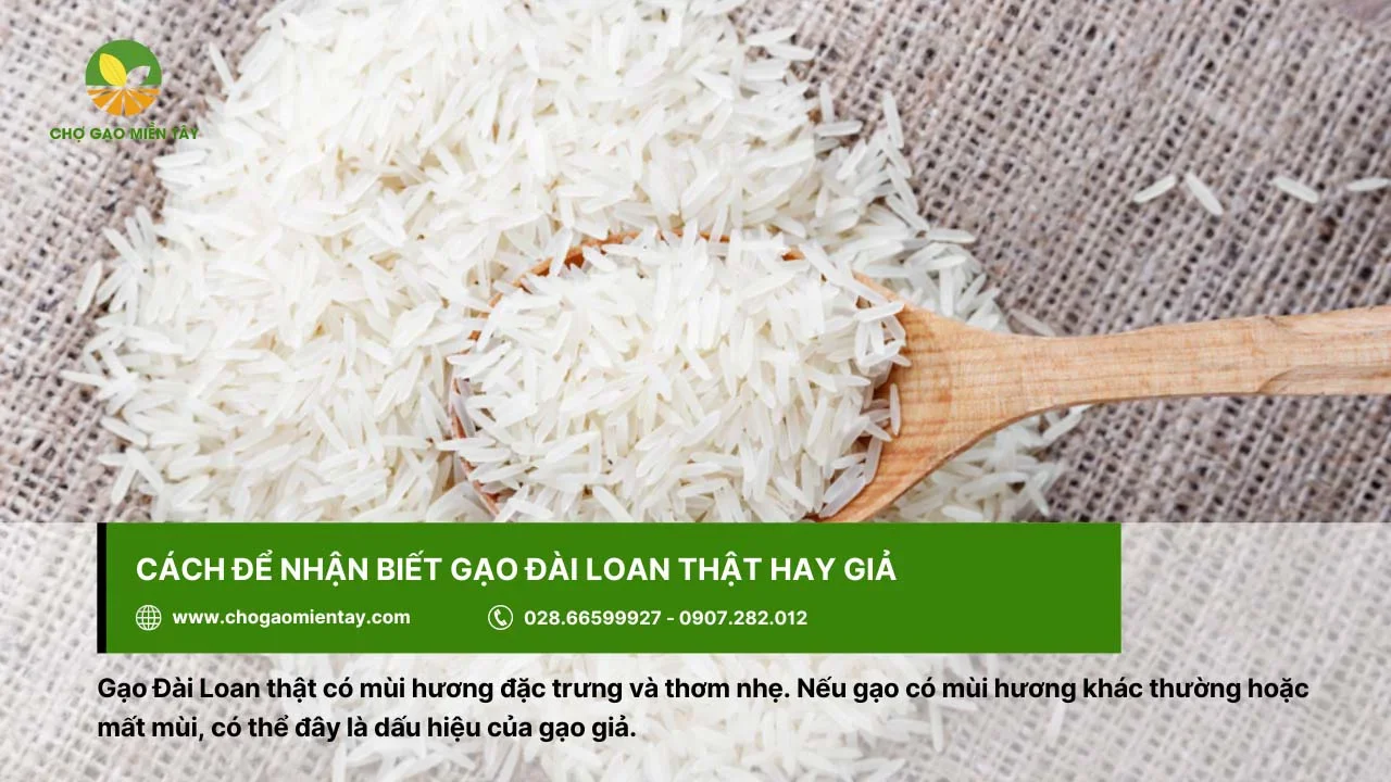 Gạo Đài Loan thật sẽ có mùi hương thơm nhẹ