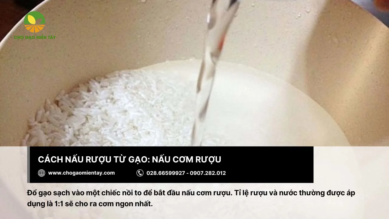 Để cơm rượu ngon, tỷ lệ rượu và nước nên là 1:1