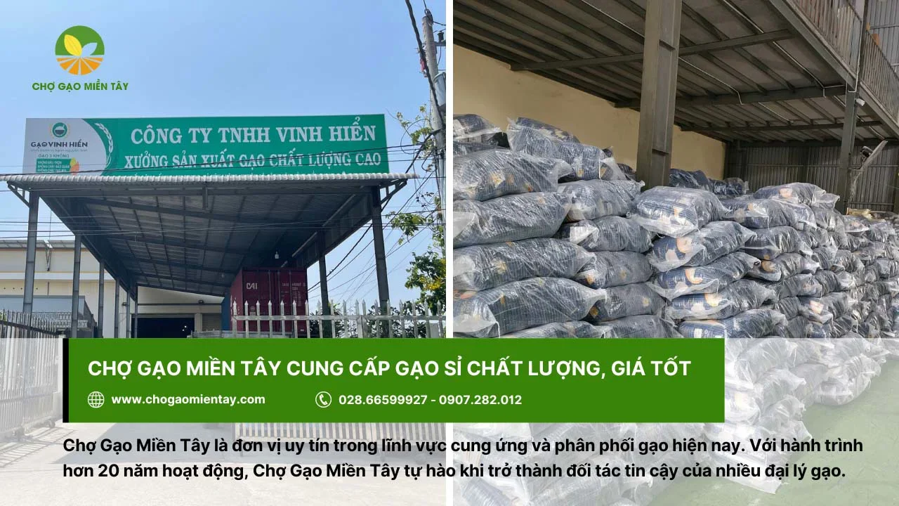Chợ Gạo Miền Tây cung cấp gạo sỉ, giá tốt cho đại lý
