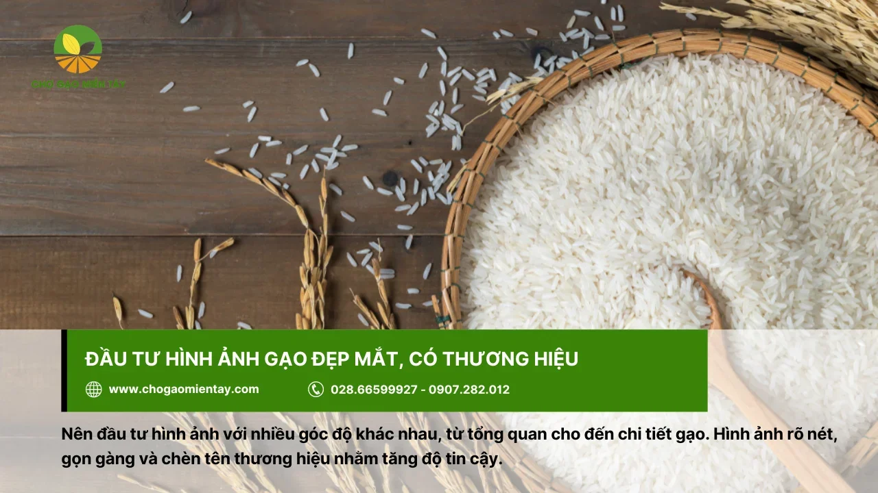 Cần đảm bảo hình ảnh rõ nét, gọn gàng sẽ dễ thu hút người đọc