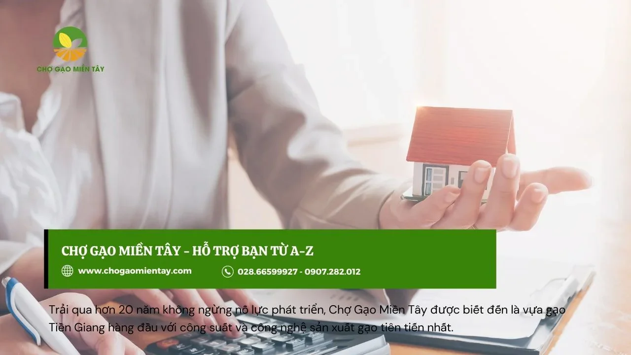 Chi phí mặt bằng mở đại lý kinh doanh gạo