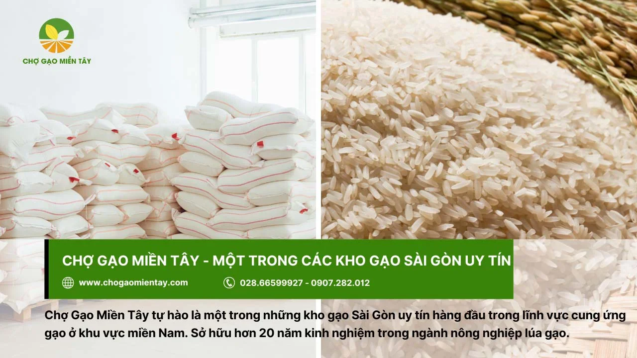Chợ Gạo Miền Tây cung ứng gạo chất lượng và uy tín trên thị trường
