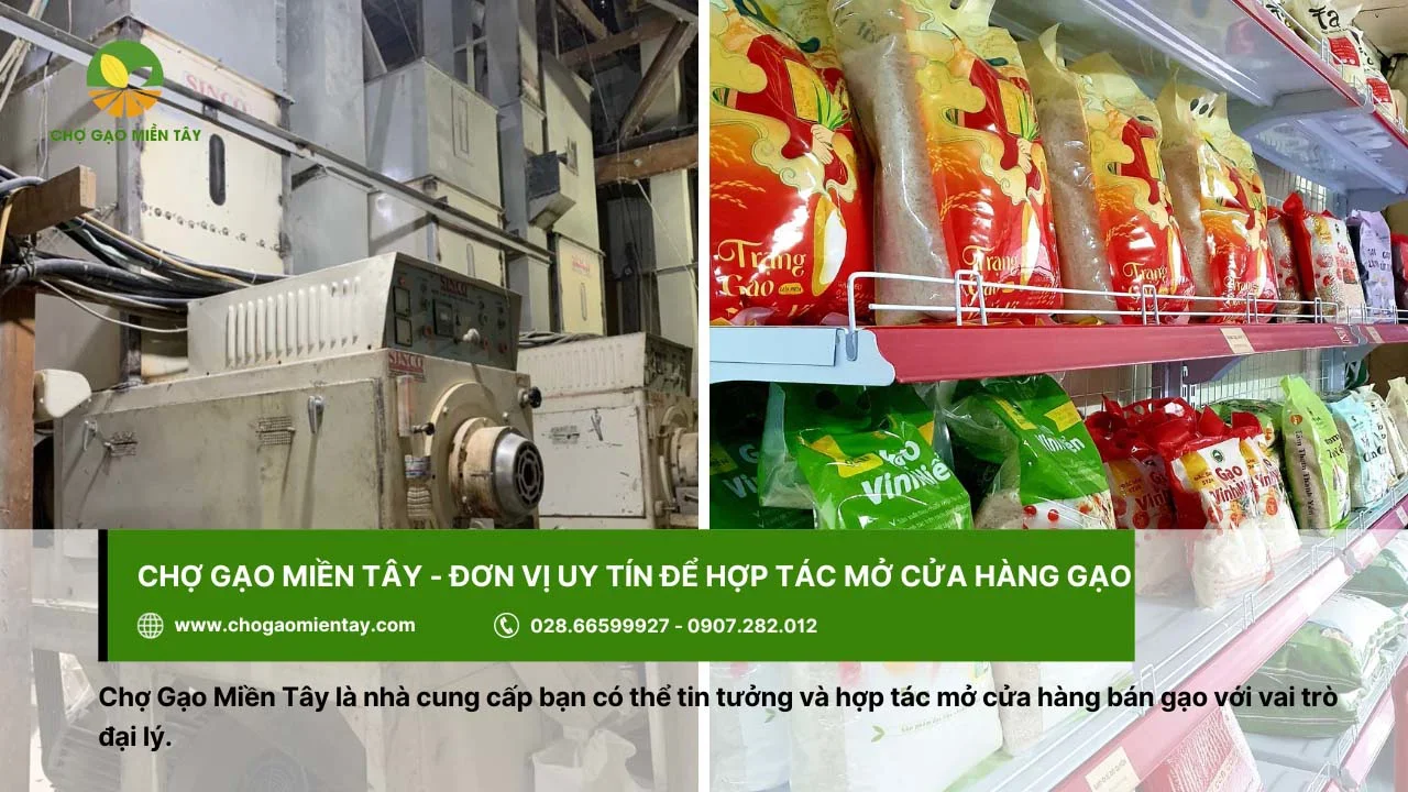 Chợ Gạo Miền Tây - đơn vị uy tín để hợp tác mở cửa hàng gạo