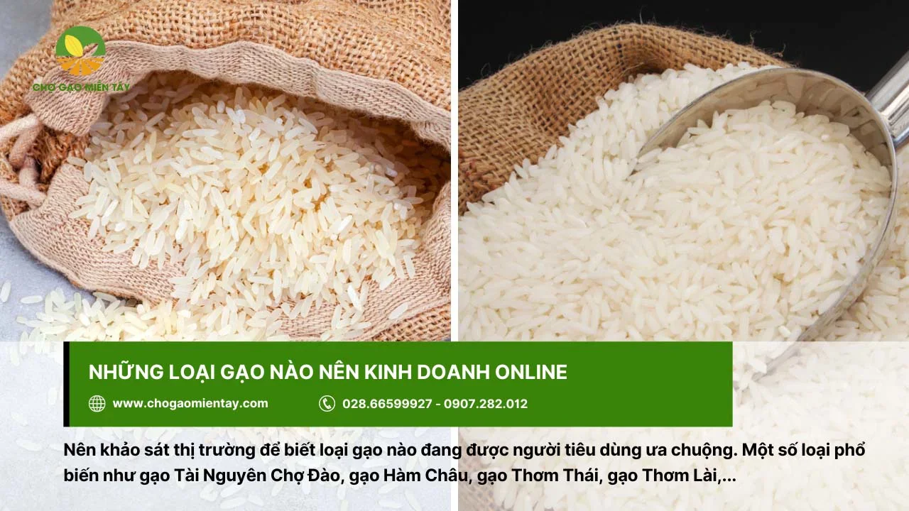 Nên nhập loại gạo phù hợp với đối tượng khách hàng hướng đến