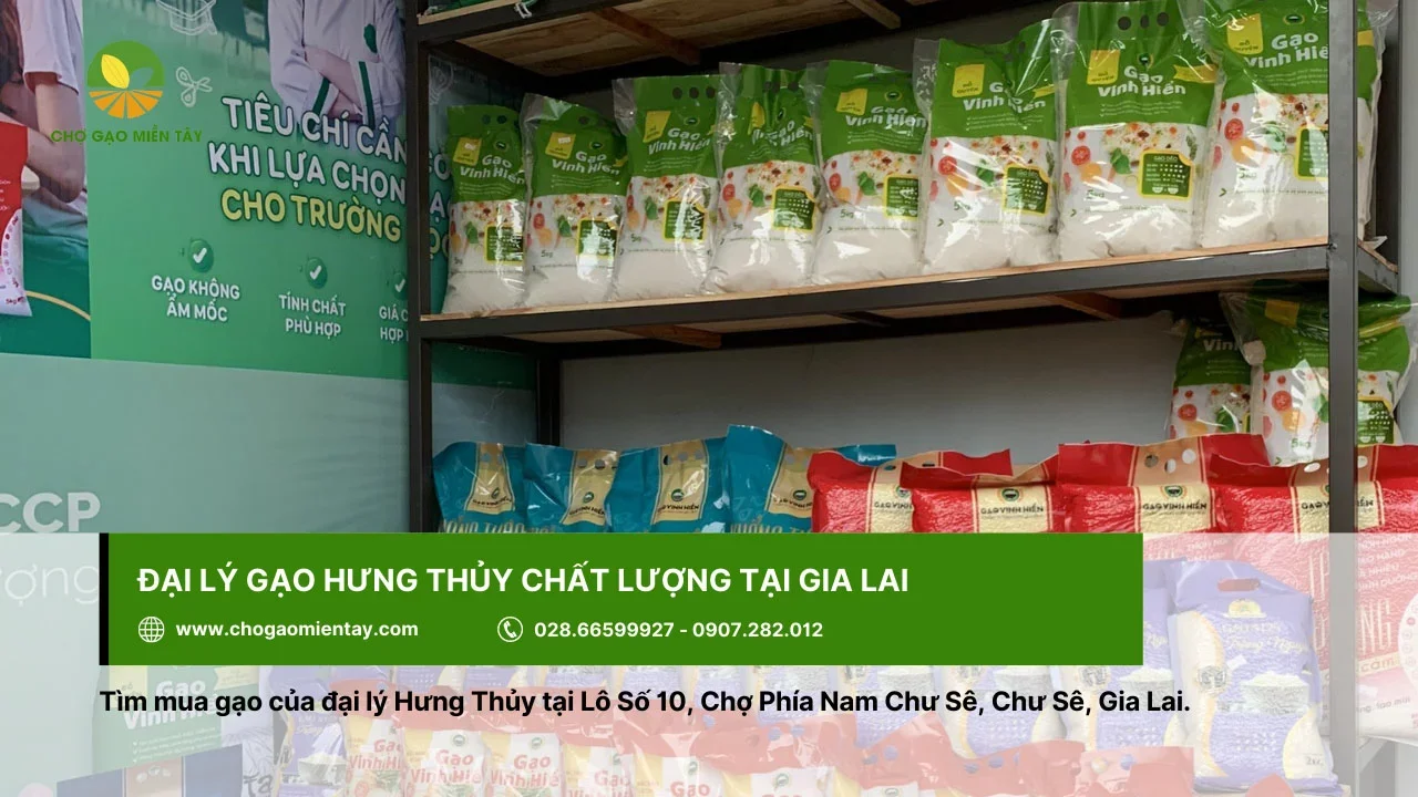 Hưng Thủy - đại lý cung cấp gạo chất lượng