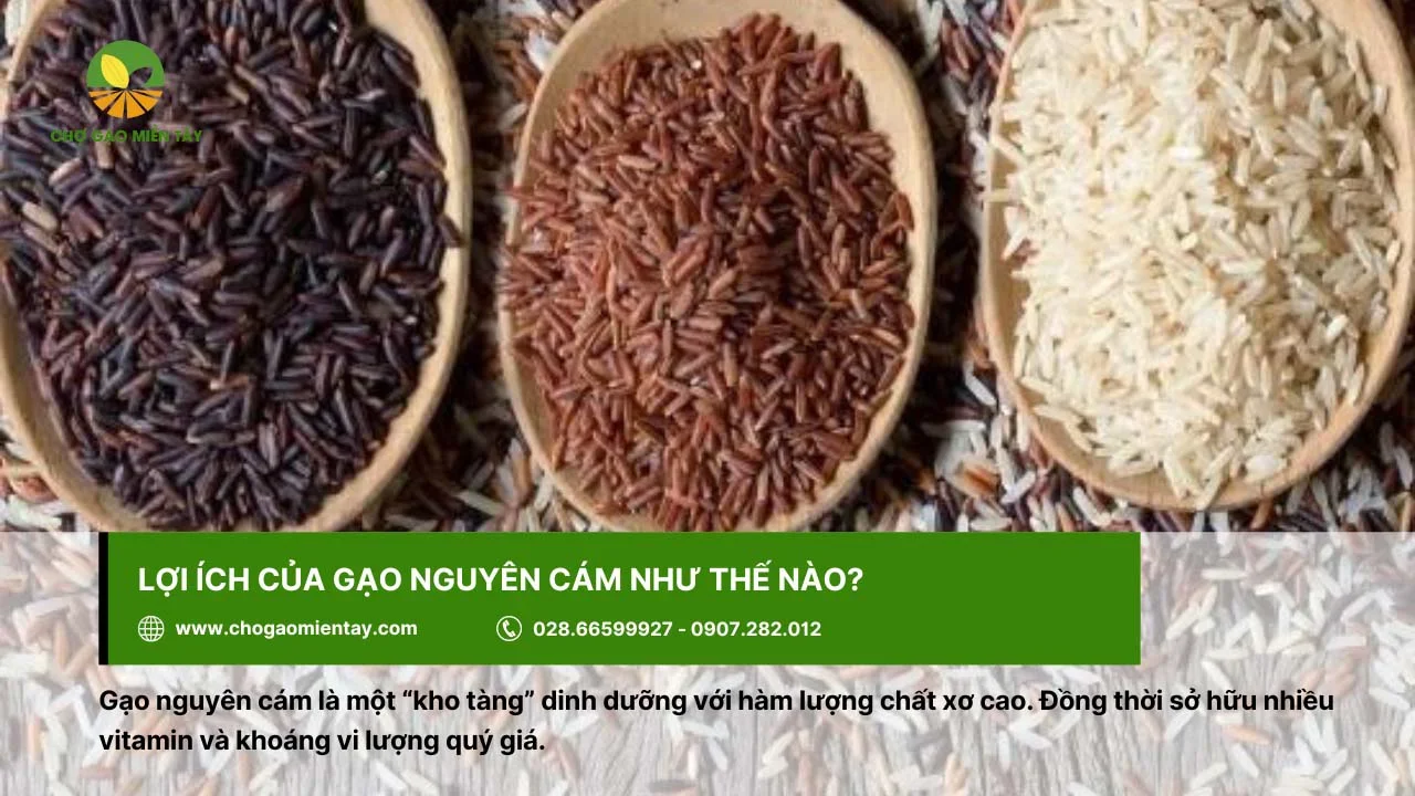 Gạo nguyên cám sở hữu nhiều vi lượng tốt cho sức khỏe