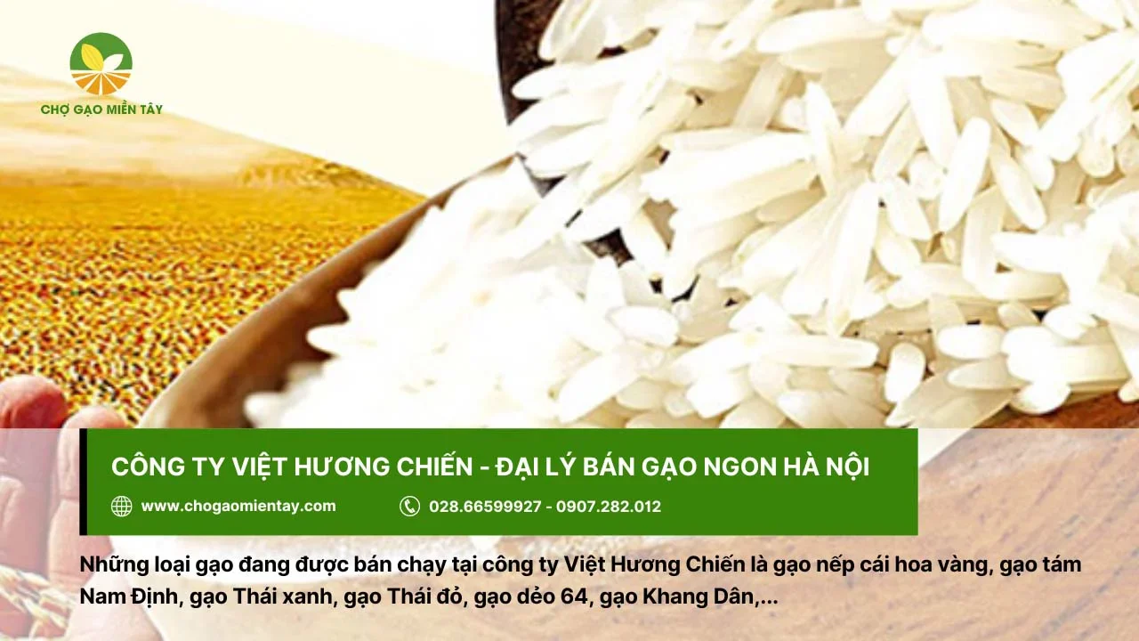 Nơi cung cấp gạo ngon Hà Nội - công ty Việt Hương Chiến