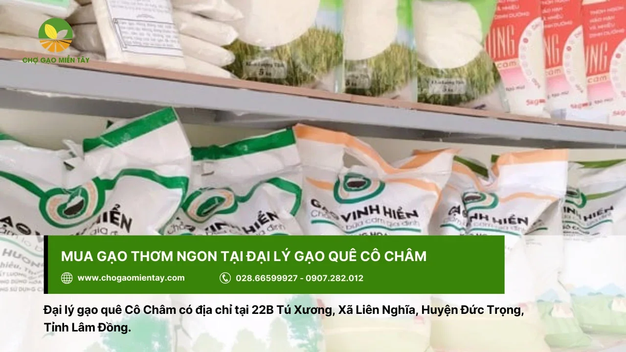 Đại lý gạo quê Cô Châm với các dòng gạo thơm ngon