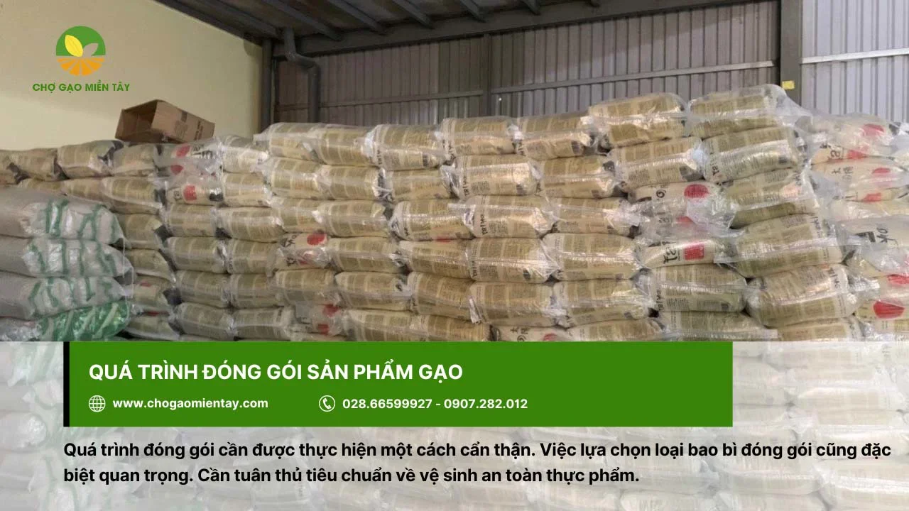 Đóng gói bao bì gạo cẩn thận