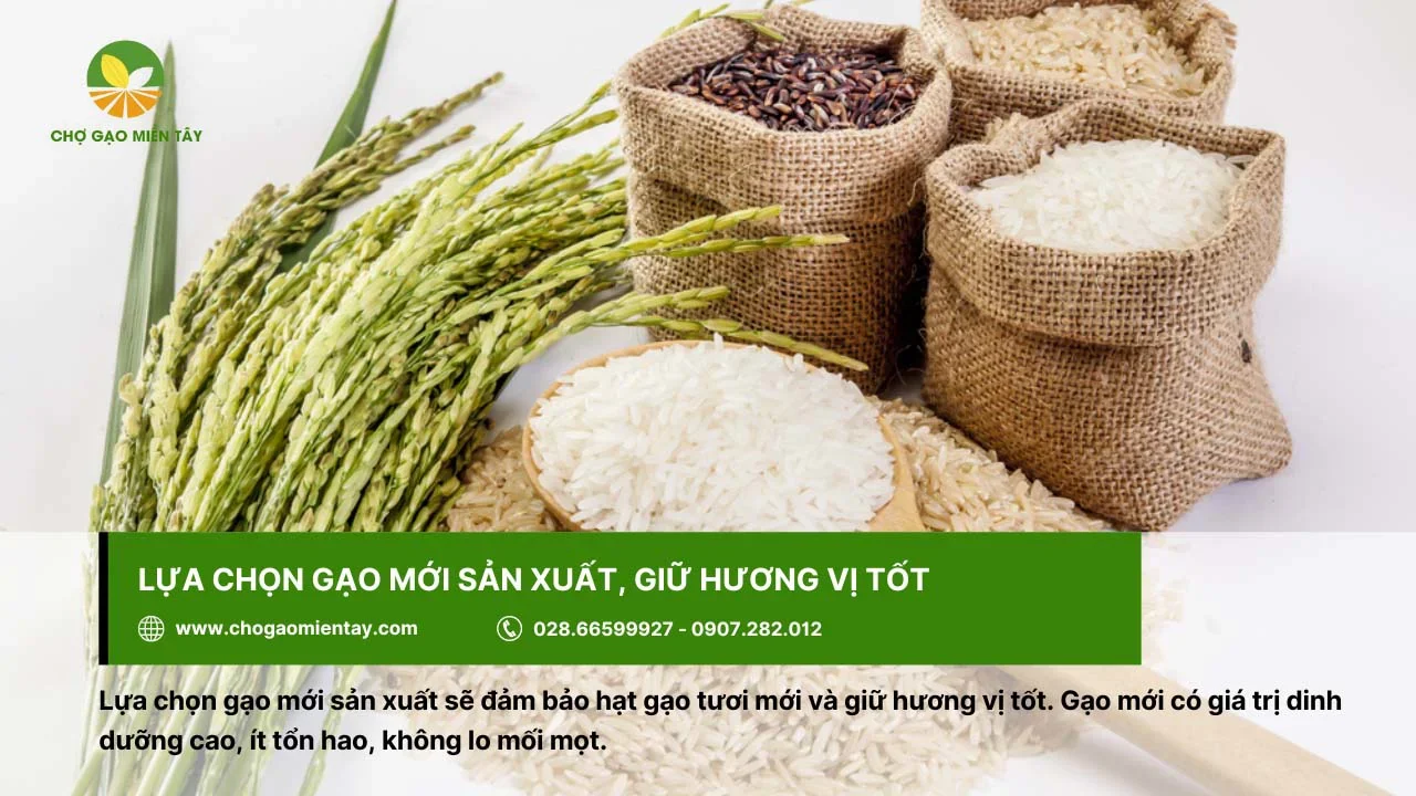 Nên lựa chọn gạo mới sản xuất để đảm bảo hàm lượng dinh dưỡng