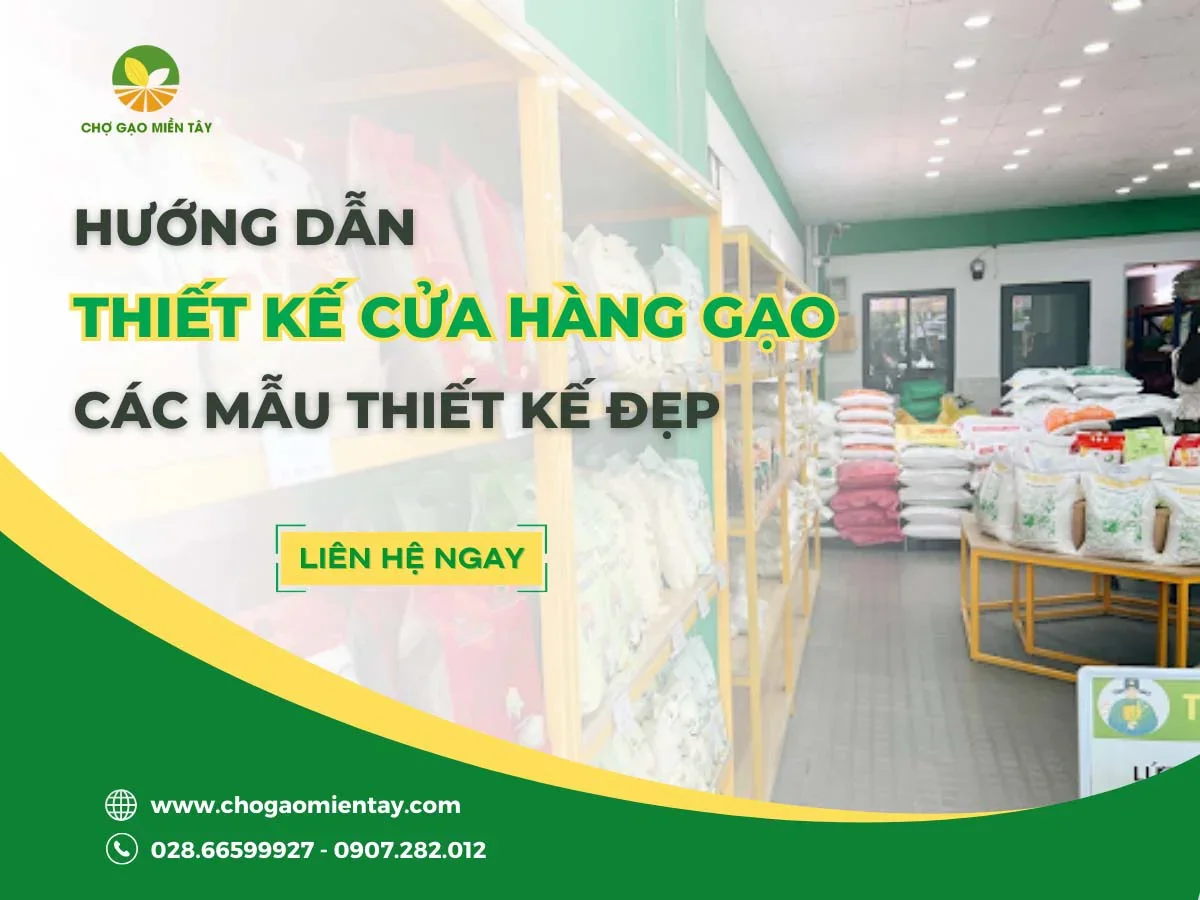 Hướng dẫn thiết kế cửa hàng gạo chuyên nghiệp năm 2023