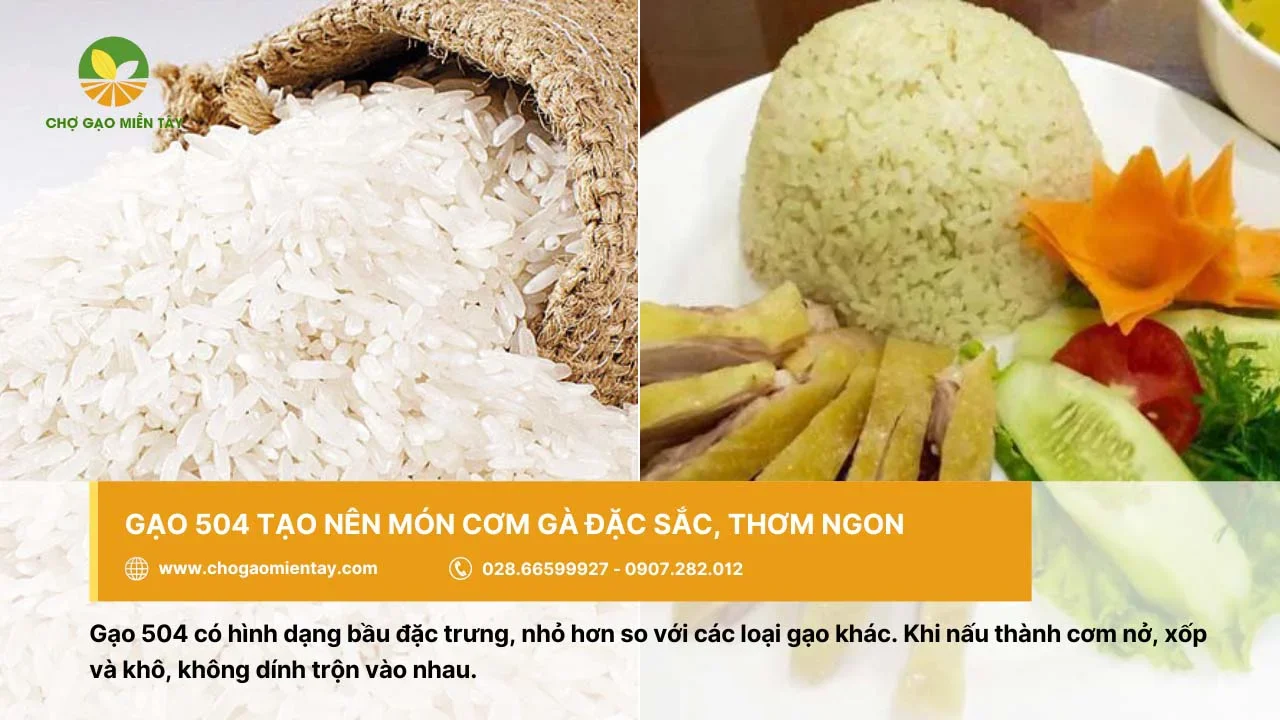 Món cơm gà đặc sắc từ gạo 504