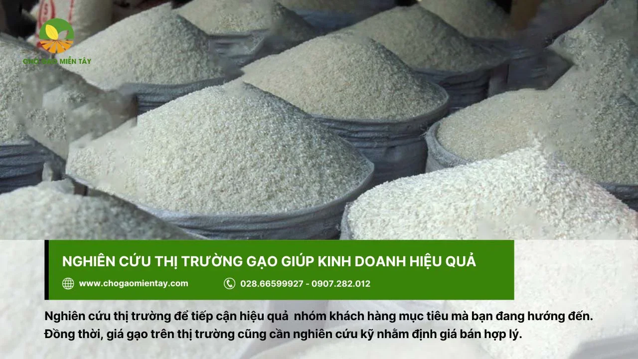 Nghiên cứu chi tiết thị trường gạo gồm đối tượng khách hàng, giá bán,...