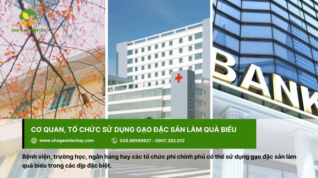 Các bệnh viện, ngân hàng, trường học cũng chọn gạo đặc sản làm quà biếu