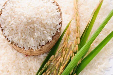 đối thủ cạnh tranh
