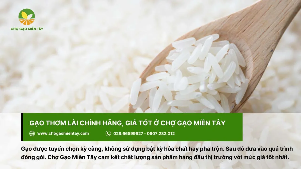 Chợ Gạo Miền Tây cung cấp gạo sạch, ngon và uy tín