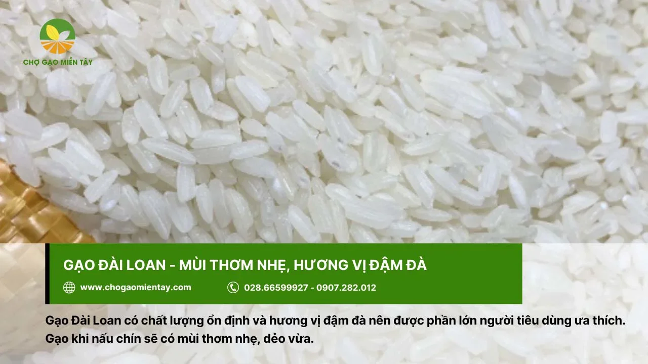 Gạo Đài Loan cho cơm với hương vị đậm đà