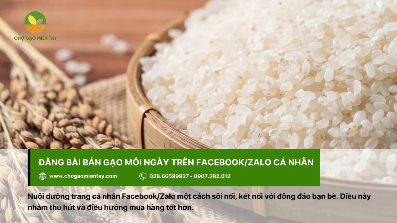 Đăng bài bán gạo qua Zalo hoặc Facebook cá nhân cũng mang lại hiệu quả tối ưu