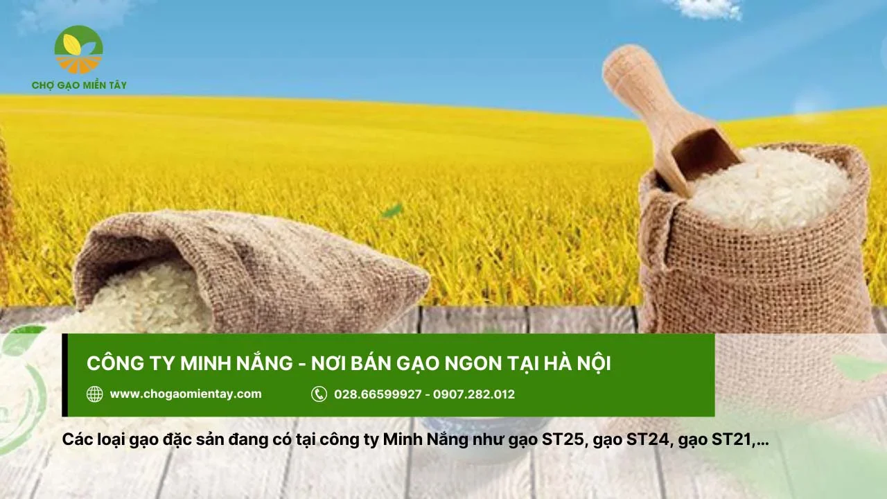 Công ty Minh Nắng cung cấp nhiều loại gạo khác nhau