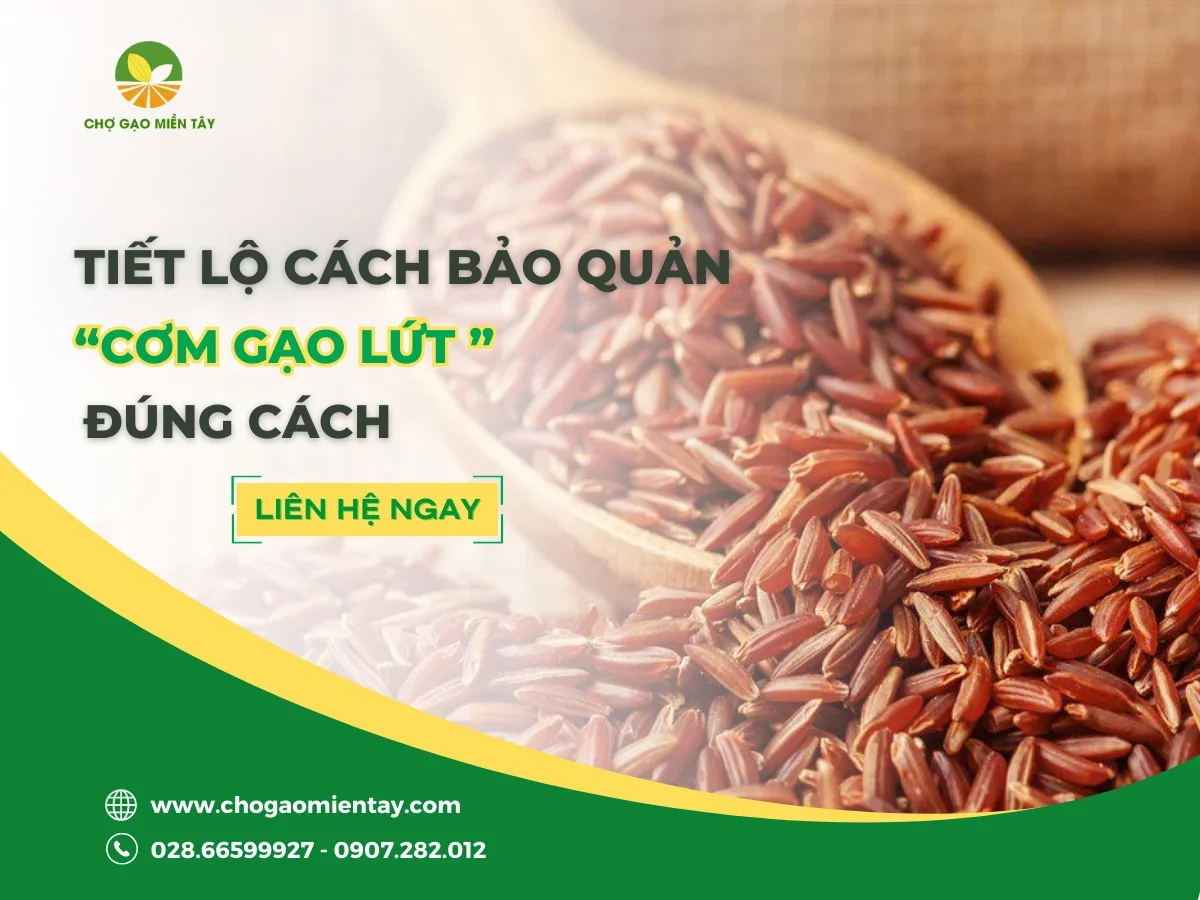 Tiết Lộ Cách Bảo Quản Cơm Gạo Lứt Đúng Cách Để Cả Tuần Vẫn Dẻo Ngon