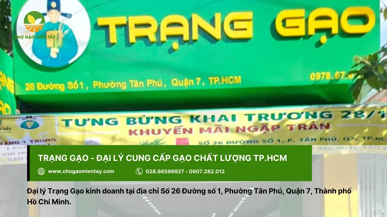 Trạng Gạo - đại lý cung cấp gạo chất lượng cho người dùng