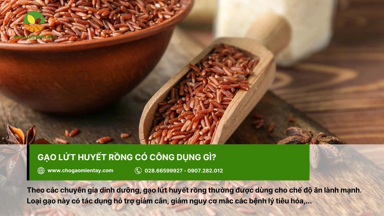 Gạo lứt huyết rồng hỗ trợ giảm nguy cơ mắc bệnh về tiêu hóa