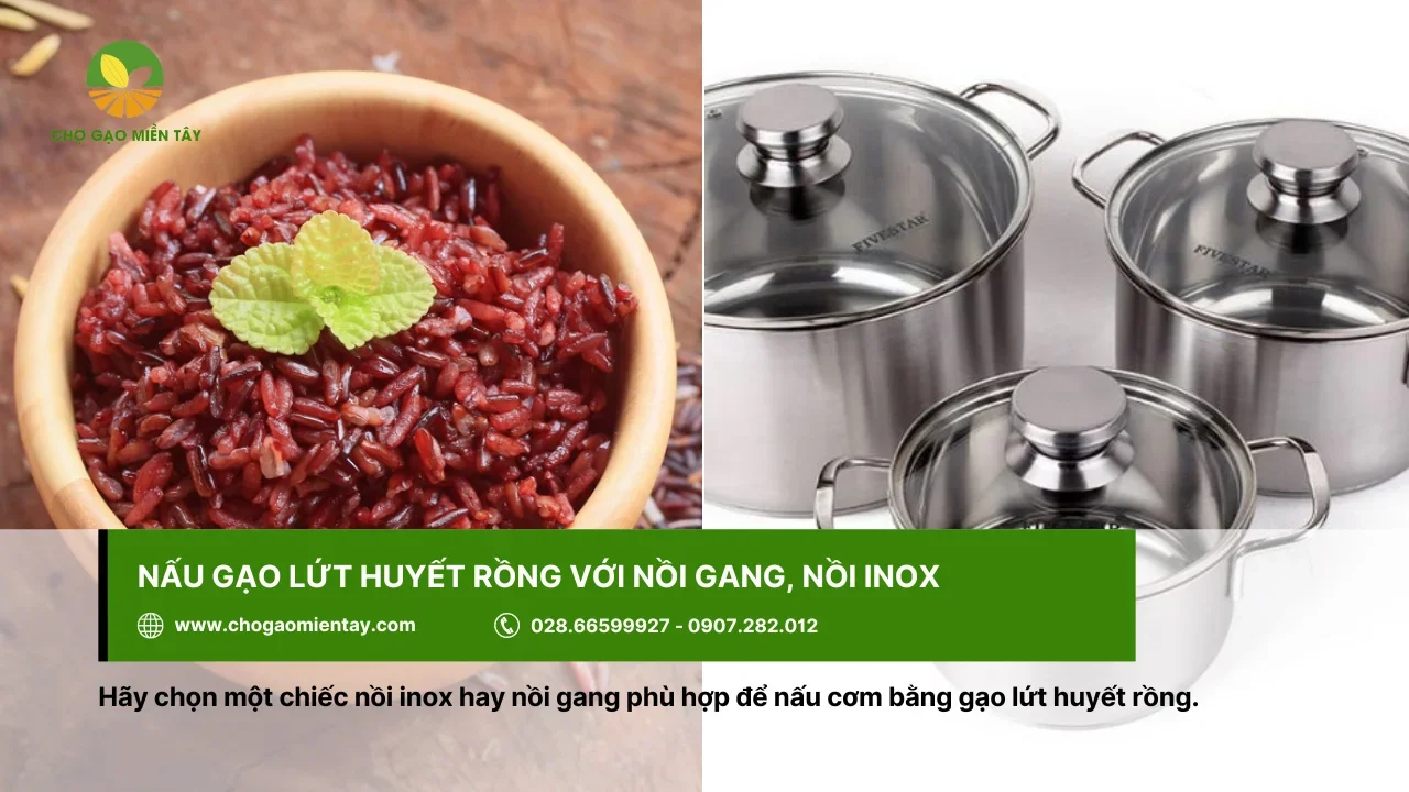 Nấu gạo lứt huyết rồng với nồi gang, nồi inox