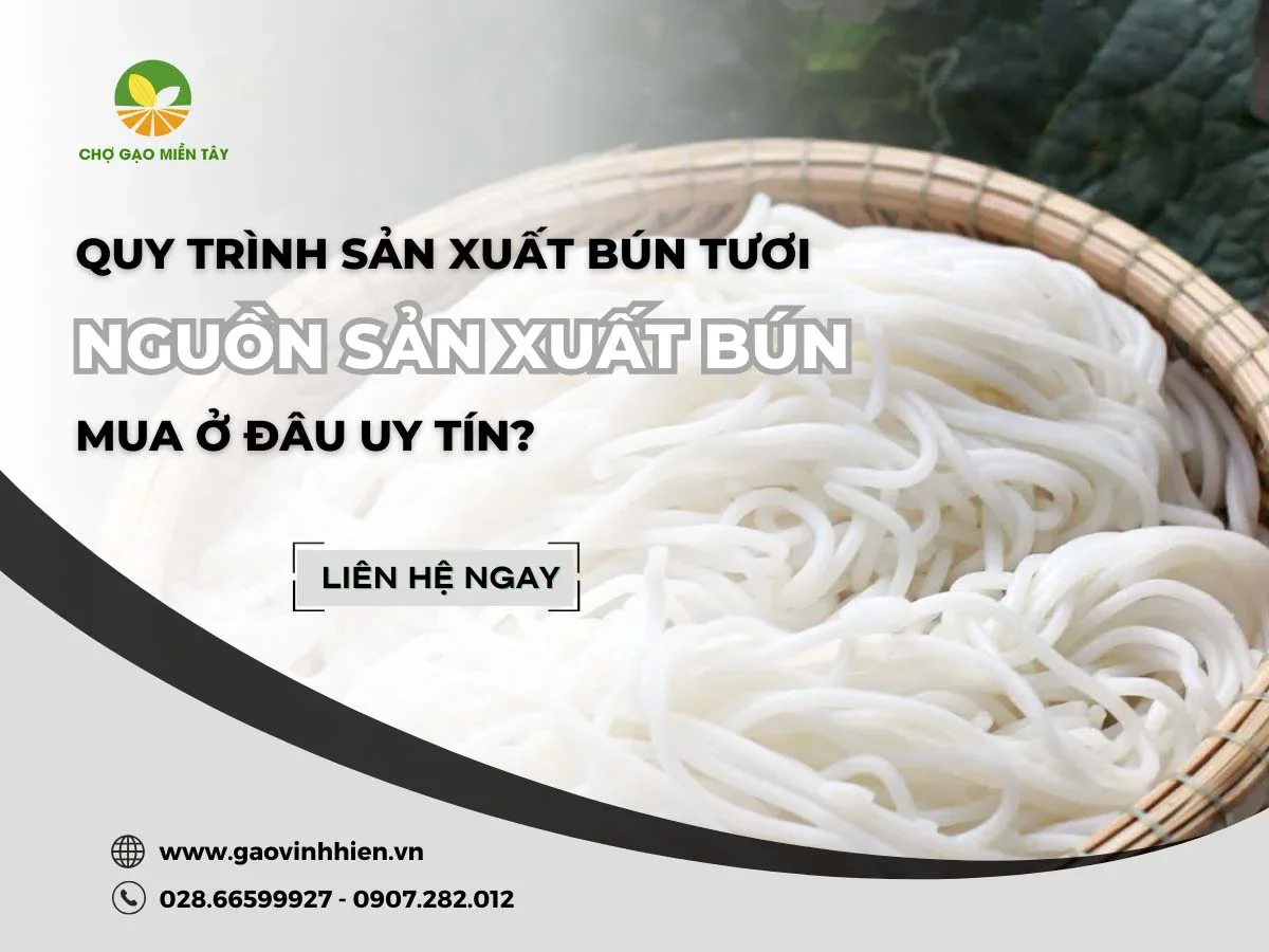 Quy trình sản xuất bún tươi và nguồn sản xuất bún mua ở đâu uy tín?