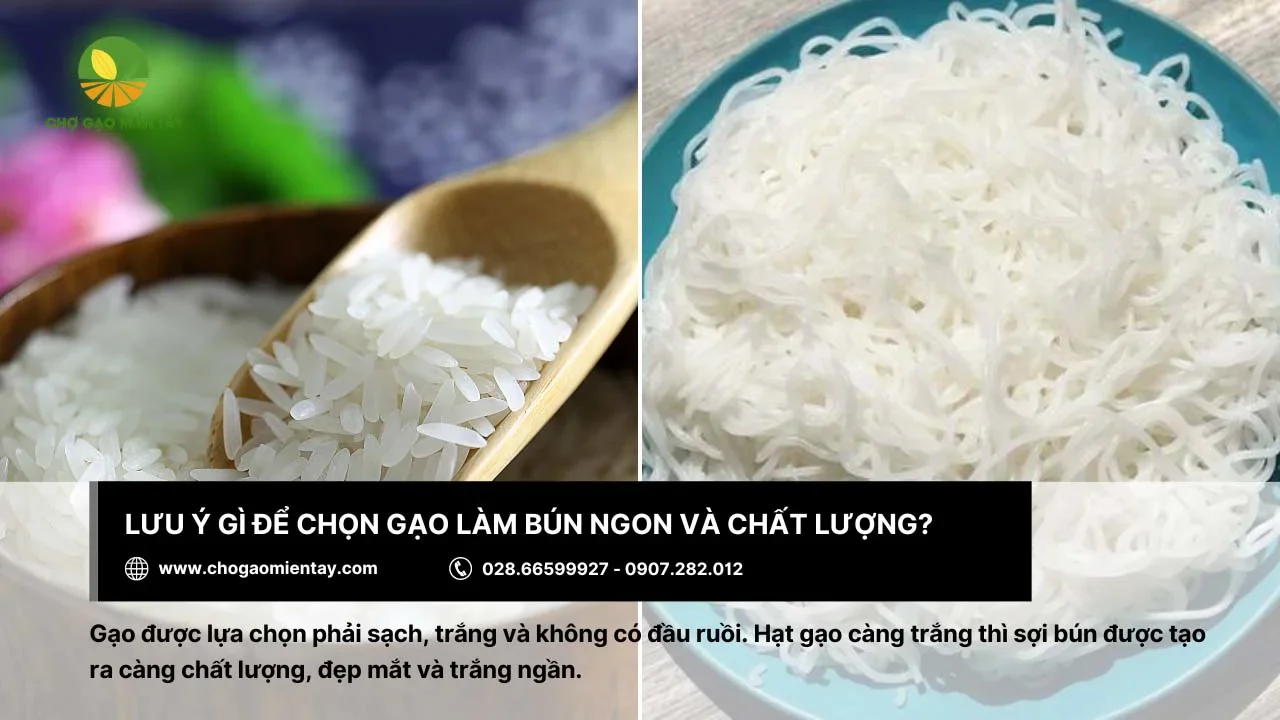 Cần chọn gạo sạch khi làm bún