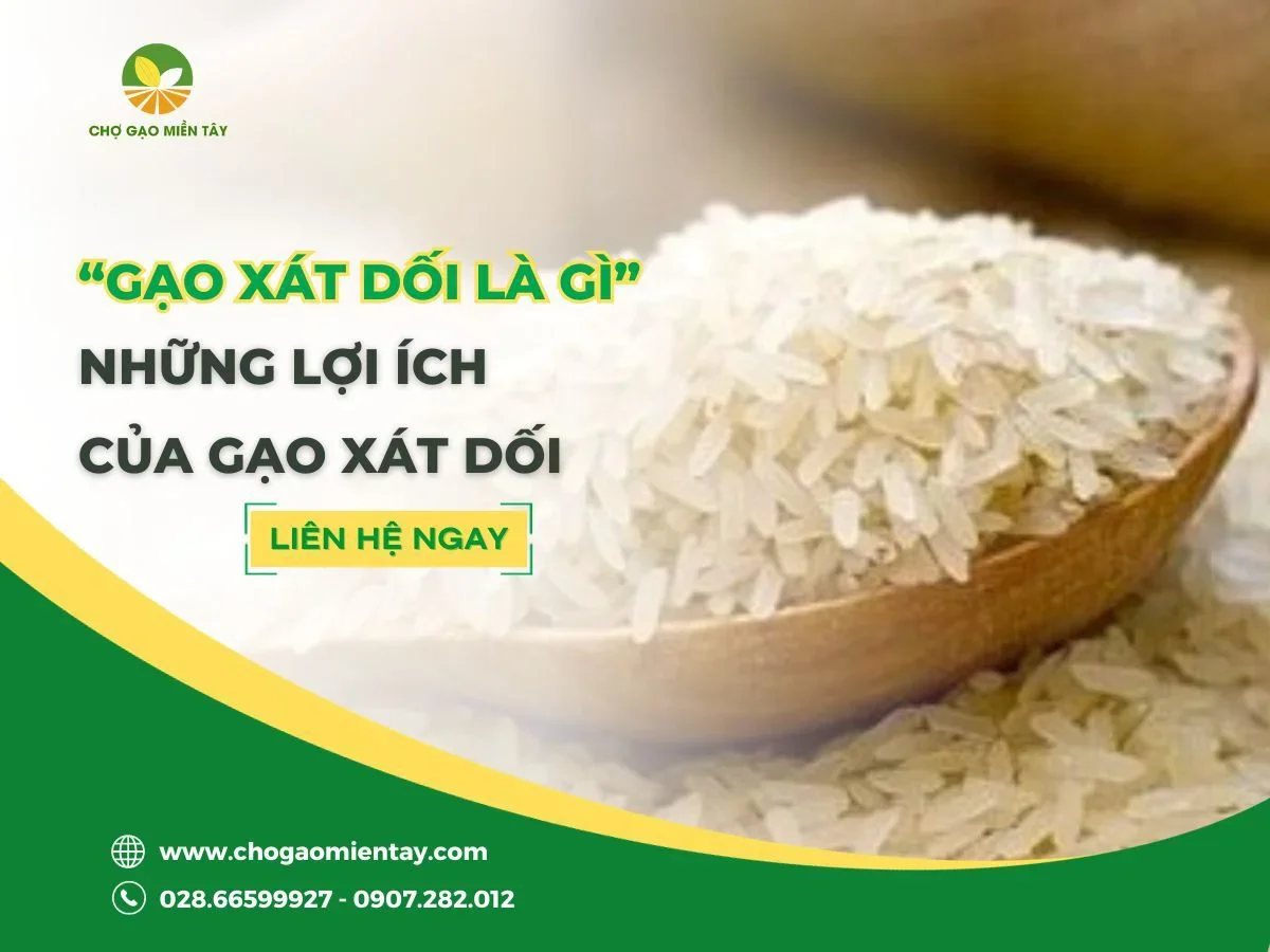 Gạo Xát Dối Là Gì?
