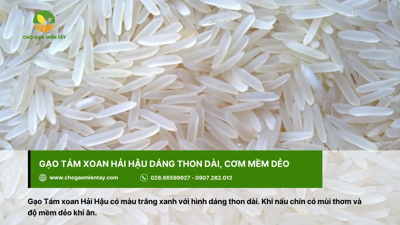 Gạo Tám xoan Hải Hậu đặc trưng bởi độ mềm dẻo