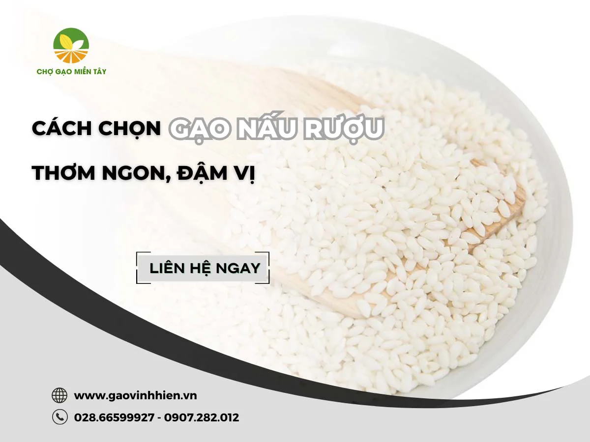 Loại gạo nào dùng để nấu rượu? Cách chọn gạo nấu rượu đậm vị
