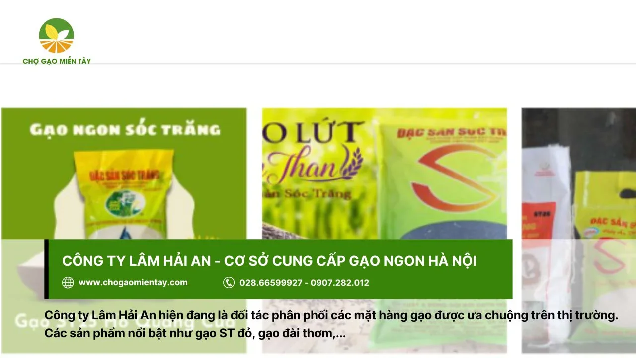 Lâm Hải An bán các sản phẩm gạo được ưa chuộng hiện nay