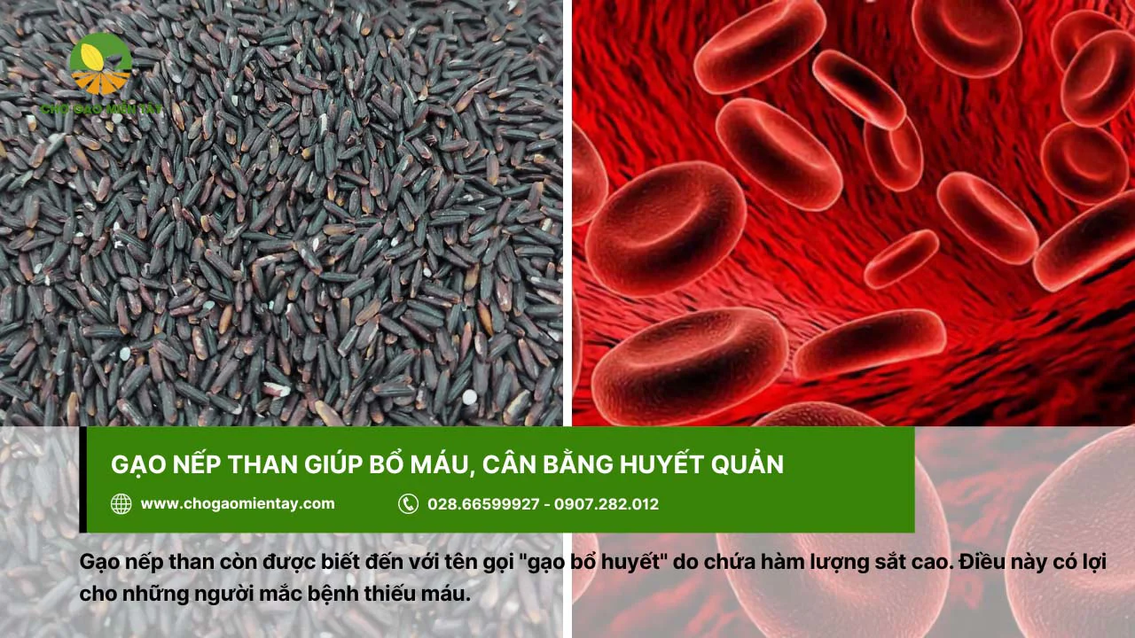 Gạo nếp than giúp bổ máu