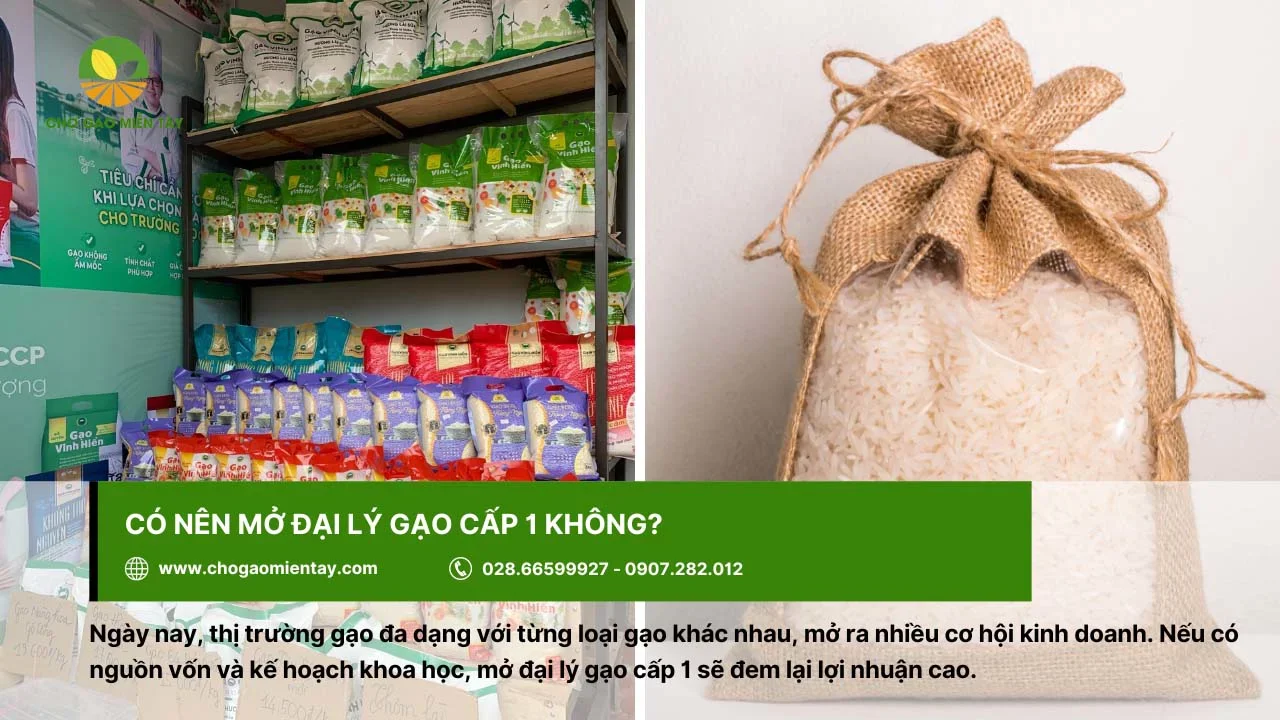 Nếu có nguồn vốn và kế hoạch khoa học, bạn có thể mở đại lý gạo cấp 1