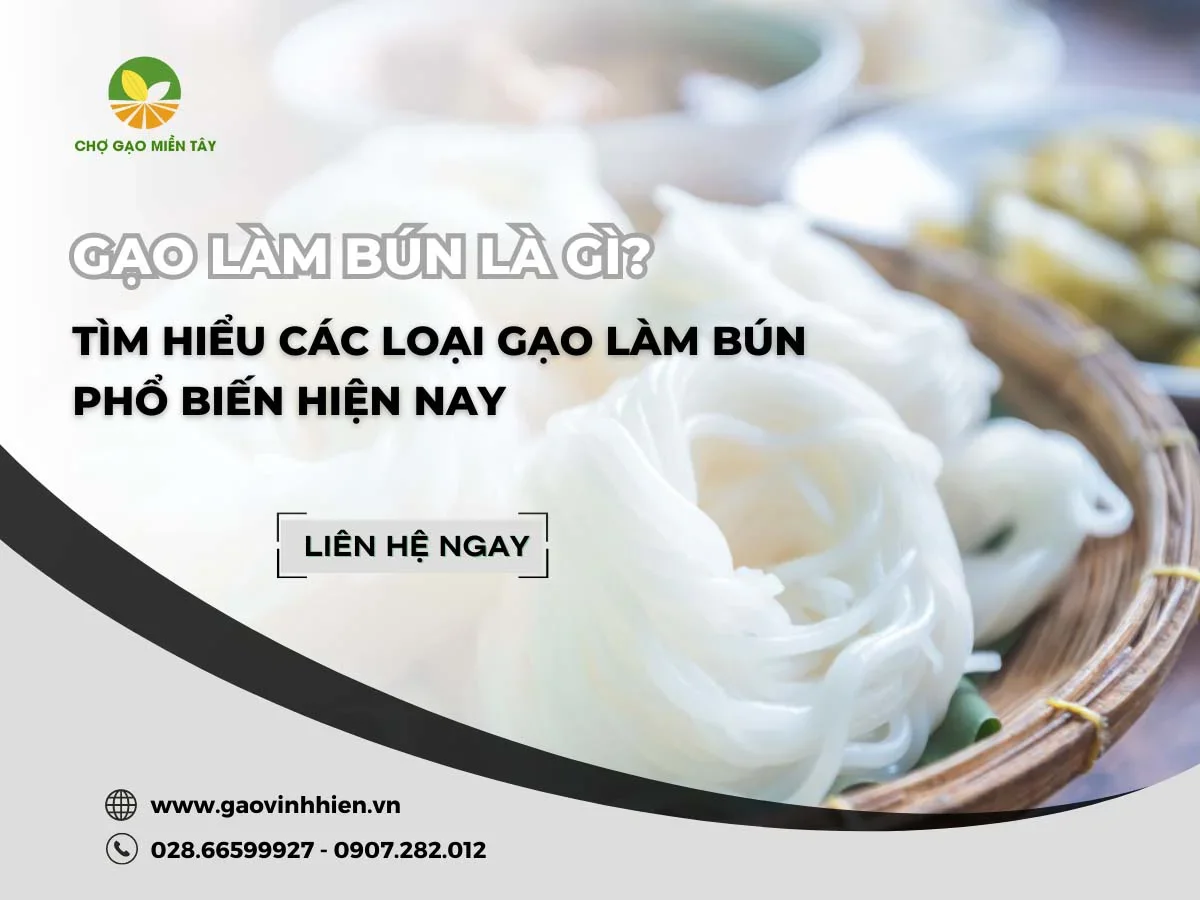 Gạo làm bún là gì? Tìm hiểu 7 loại gạo làm bún phổ biến hiện nay