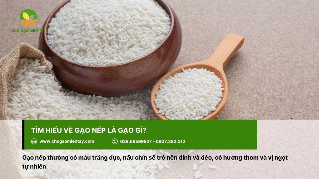 Gạo nếp có màu trắng đục, khi chín sẽ dẻo và dính