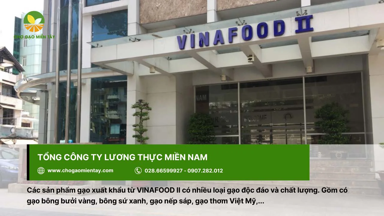 Tổng Công ty Lương thực miền Nam (VINAFOOD II) xuất khẩu lúa gạo trên toàn cầu