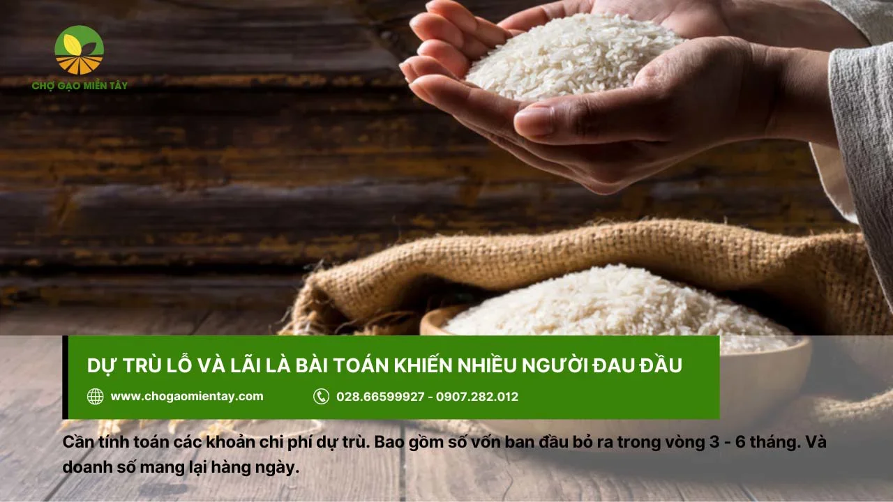 Kinh doanh gạo online nên dự toán về lãi và lỗ
