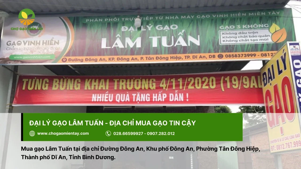 Mua gạo chất lượng ở đại lý gạo Lâm Tuấn