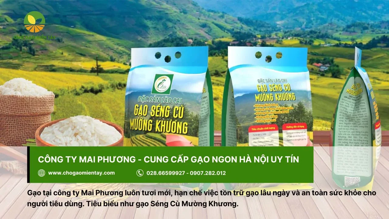 Gạo ngon Hà Nội từ công ty Mai Phương