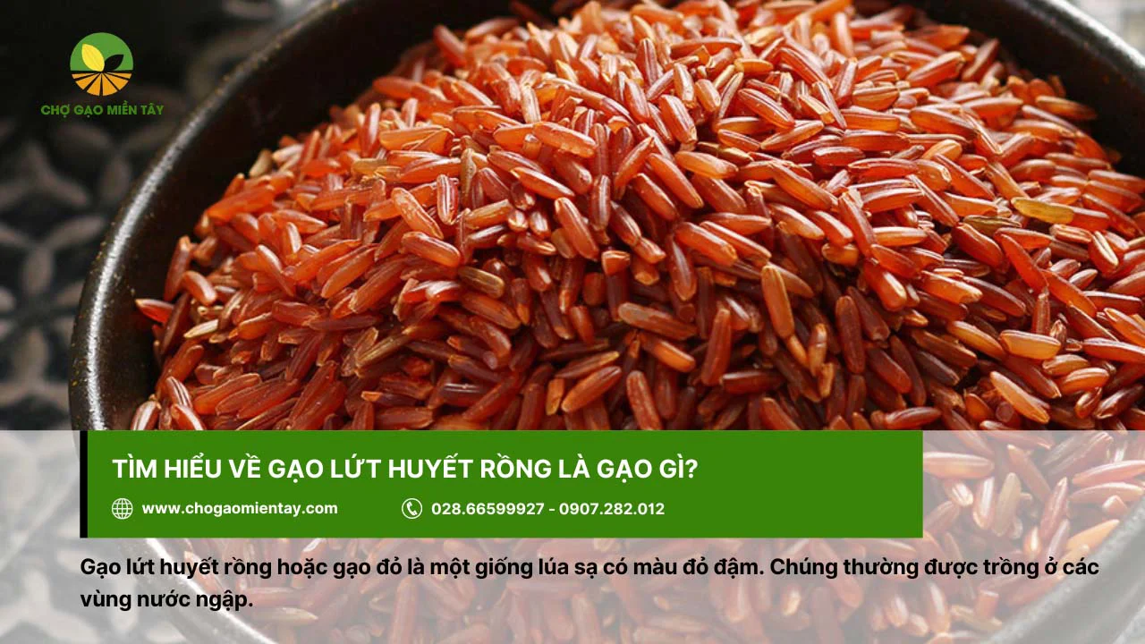 Gạo lứt huyết rồng có màu đỏ đậm