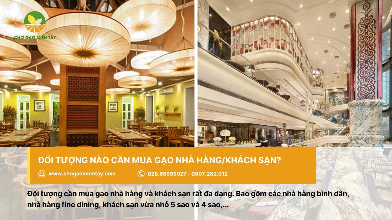 Nhà hàng bình dân, fine dining hay các khách sạn đều có nhu cầu sử dụng gạo