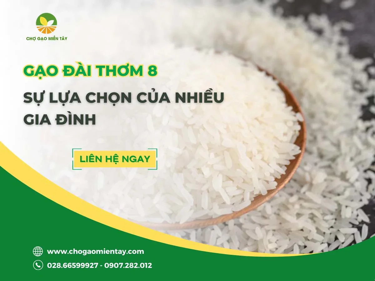 Gạo Đài Thơm 8 - Sự lựa chọn của nhiều gia đình 2023
