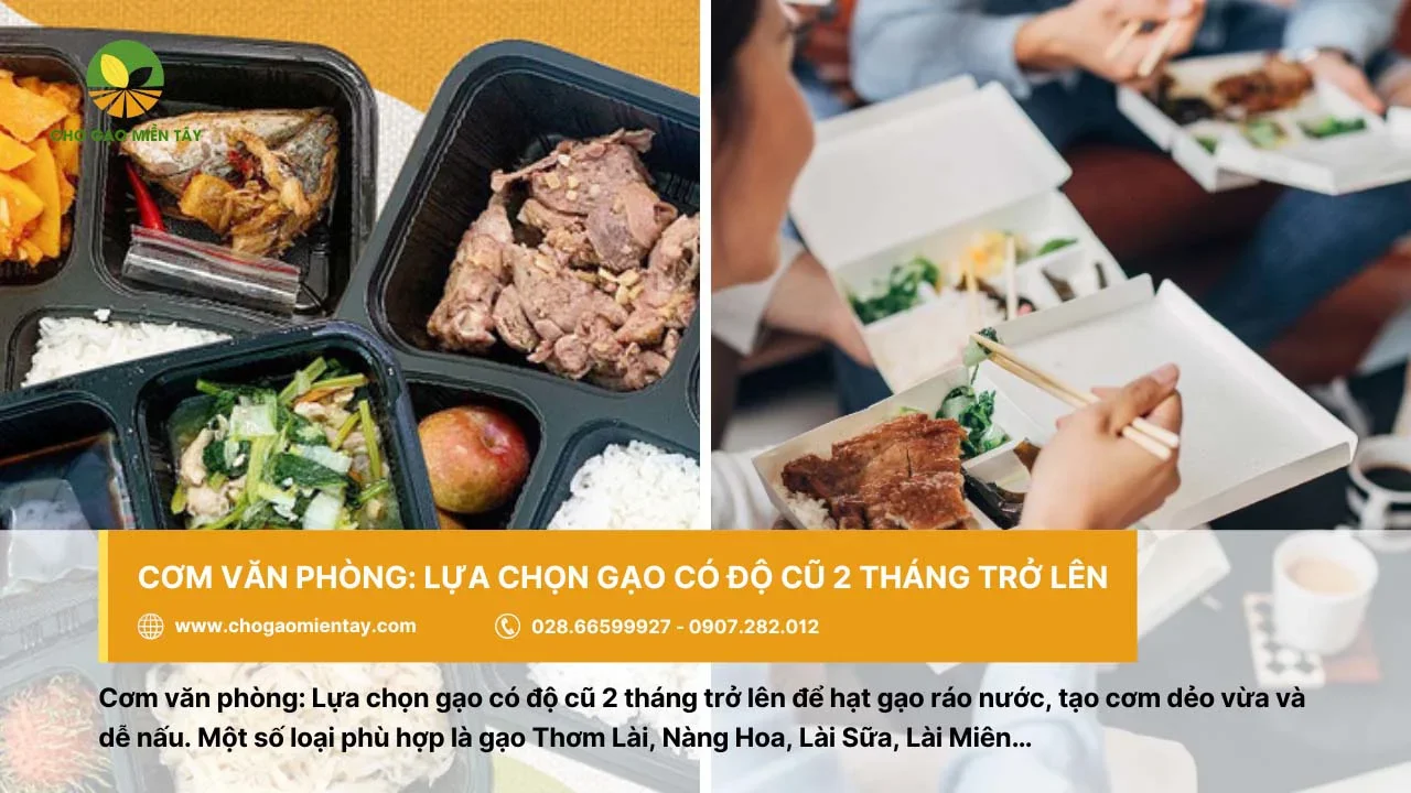 Chọn gạo để nấu cơm văn phòng cần có độ cũ từ 2 tháng trở lên